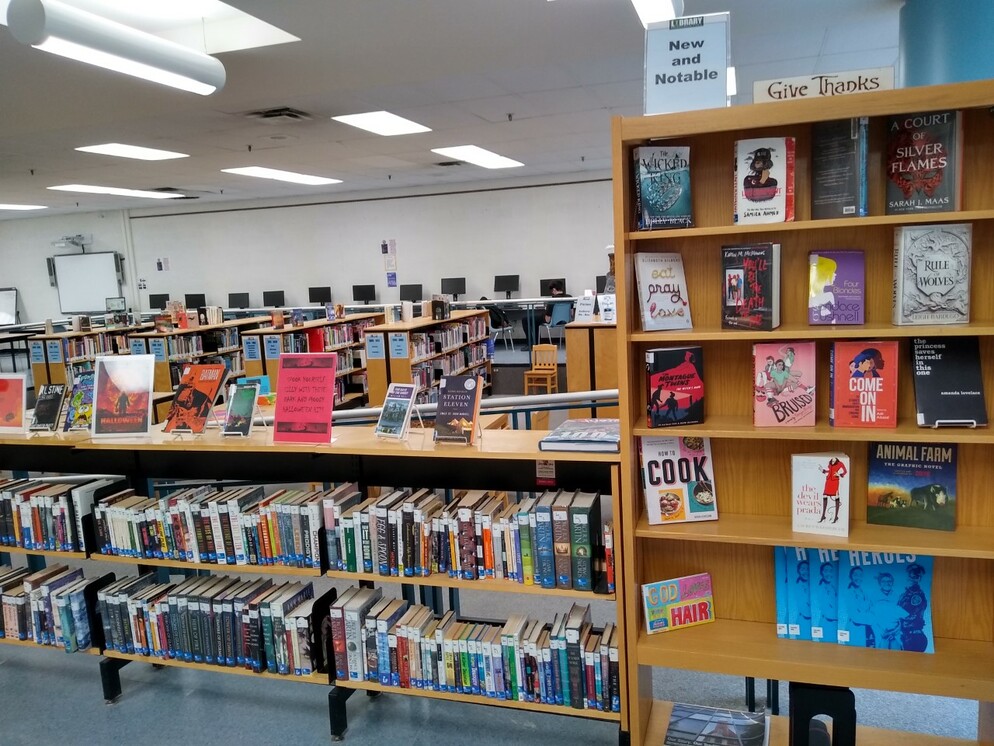 Picture of the Iona library
